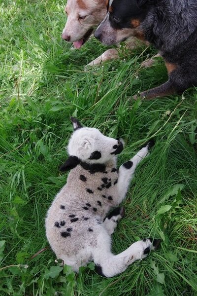 Jun 25 2025 IMGP5851.jpg