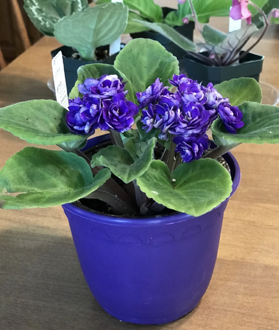 Screen Shot 2026-01-16 at 8.08.28 AM.png