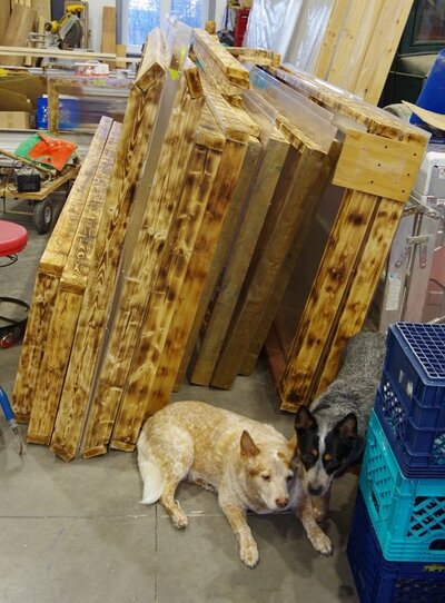 Jan 8 2026 IMGP8651.jpg