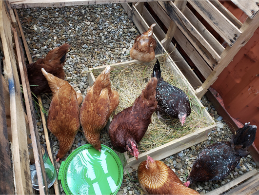 Screen Shot 2026-01-30 at 11.18.53 AM.png