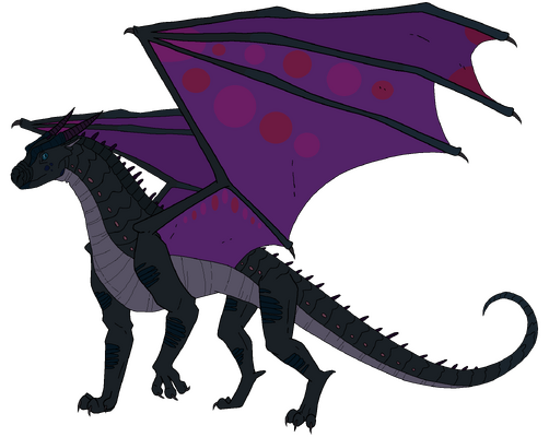 Wings Of Fire_ Hybrid Graphic Novel Character_ NightWing+SilkWing - Nightmoth-1.png.png