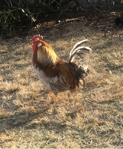 Screenshot 2026-03-13 at 6.21.02 AM.png