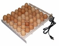 Egg Turners