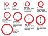 Kuhl - 10 Plastic Leg Band - 1000pk - 10