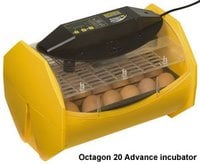 Octagon 20 Advance - digital menu driven incubator calibrated from factory with digital temperature 