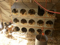 15 Bird Metal Nest Box
