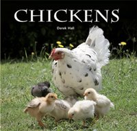 Chickens (Flexi cover series)