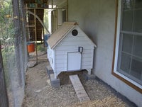 Pullet-Shut Automatic Chicken Door