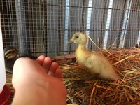 IMG_3139.JPG