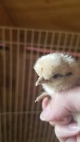 20170511_145426.jpg