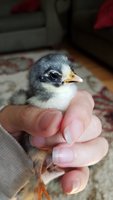20170514_151443.jpg