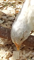 20170512_151215.jpg