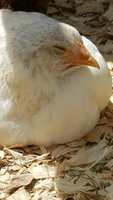 20170512_150824.jpg