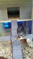 20170510_163743.jpg