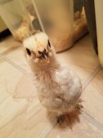 20170517_190355.jpg