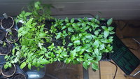 20170517_171921.jpg