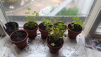 20170517_172039.jpg