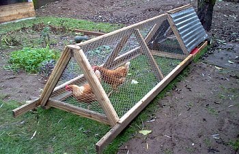 Chicken Tractors Versus Permanent Coops: The Pros And Cons
