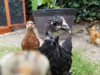 20170517_181259.jpg