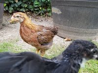 20170517_181319.jpg