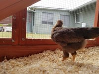 20170517_181617.jpg