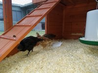 20170517_184520.jpg