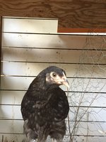 IMG_5150.JPG