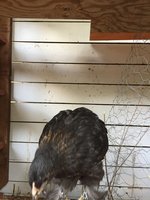 IMG_5153.JPG