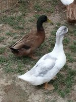 20170516_134935.jpg