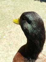 20170514_140309.jpg