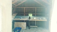 0509171103a_Film3.jpg