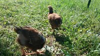 20170514_093110.jpg 20170514_093110.jpg