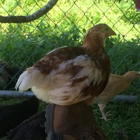IMG_3287.JPG