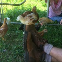 IMG_3288.JPG