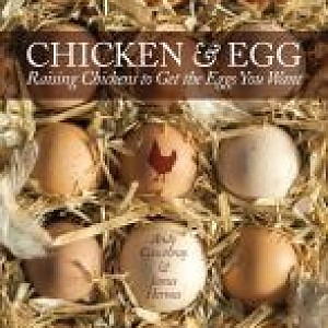 Chicken & Egg