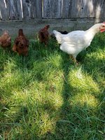 20170519_105400.jpg