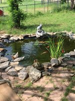 IMG_6412.JPG