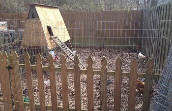 A-frame adult swing set reborn