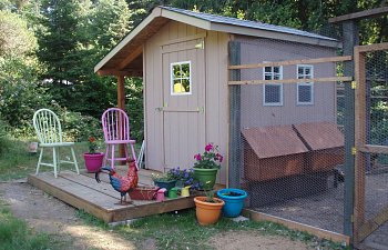The Shed Guys Made to order Chicken Coop