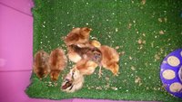 WP_20170519_005.jpg