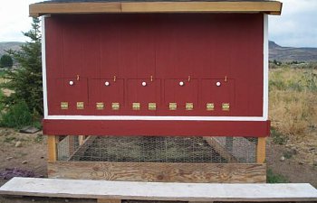 61_chicken_coop_054.jpg