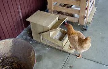 Automatic Wood Chicken Feeder