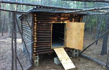 Romadfoxs Chicken Coop