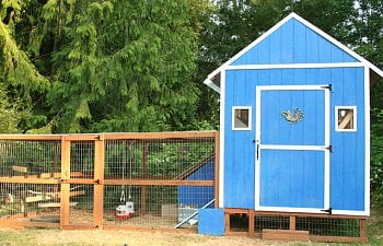 Blue Cube Chicken Coop