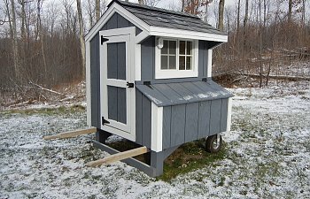 Quaker Coop My Small Flock Coop