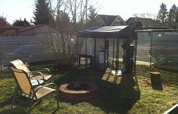 Enclosed Dog Kennel Coop