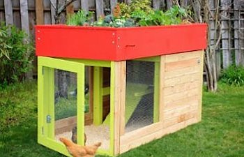 Kippenhouses Chicken Coop