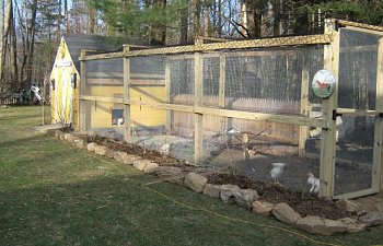 Kari's Chicken Coop