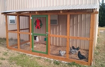 Pole Barn Coop (Part Two: The Run)