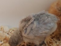20170521_135655.jpg